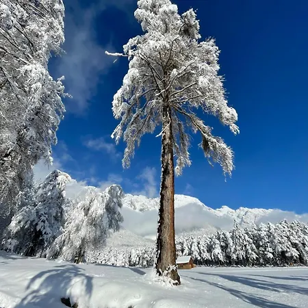 Lukaserhof Apartment *