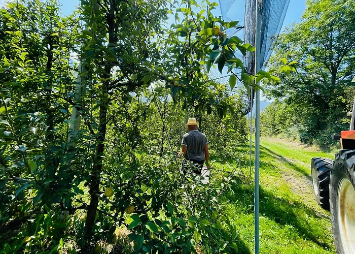 Apartment Lukaserhof *