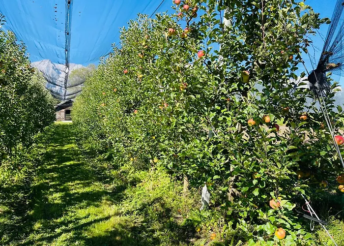 Lukaserhof Миминг