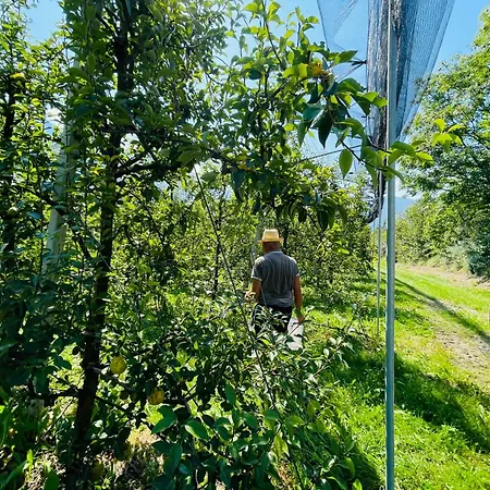 Apartamento Lukaserhof *