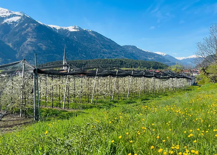 Apartamento Lukaserhof