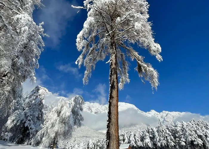 Lukaserhof Apartamento *